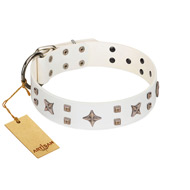 "Starry Heaven" Designer Handcrafted FDT Artisan White Leather Belgian Malinois Collar with Stars and Studs "Starry Heaven" Designer Handcrafted FDT Artisan White Leather Belgian Malinois Collar with Stars and Studs