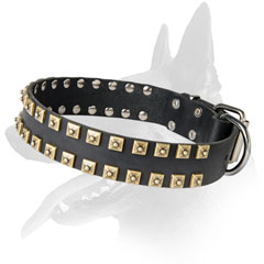 Awesome Malinois Leather Collar With Beautiful Design