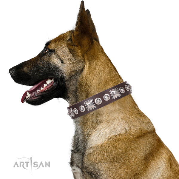 Extraordinary decorated leather dog collar for basic training
