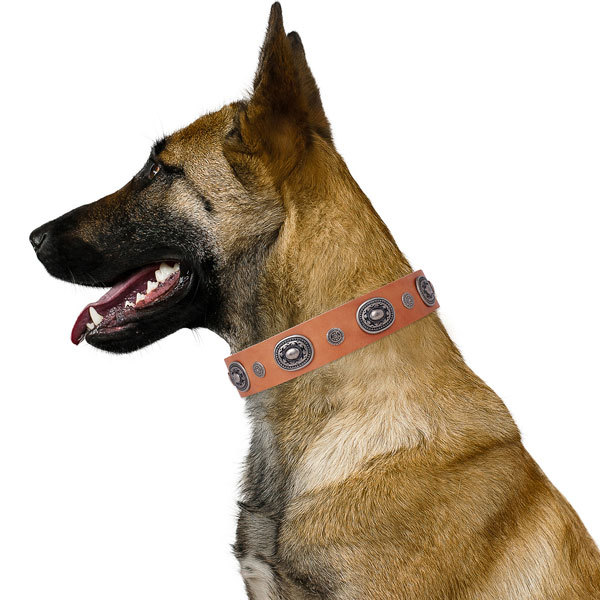 Leather dog collar with reliable buckle and D-ring for handy use