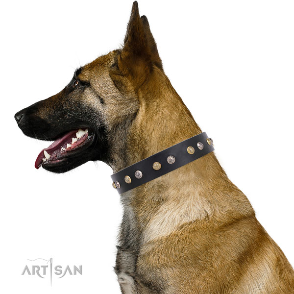 Genuine leather dog collar with rust-proof buckle and D-ring for easy wearing