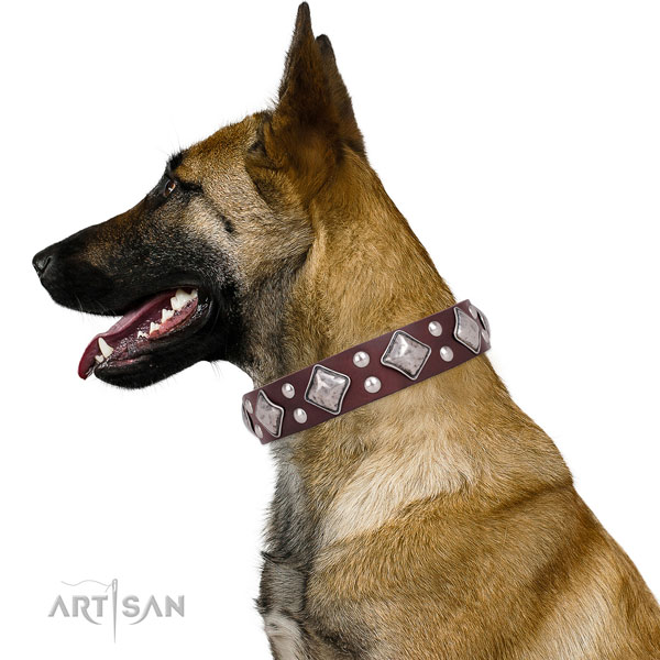 Easy wearing adorned dog collar made of quality genuine leather