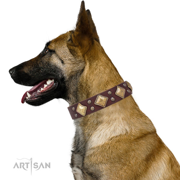 Everyday use studded dog collar made of quality natural leather