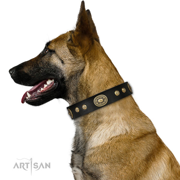 Significant studs on handy use dog collar