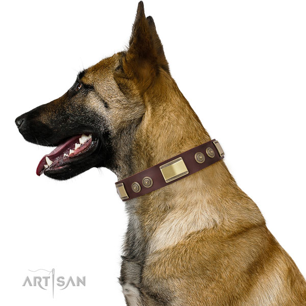 Trendy adornments on daily walking dog collar