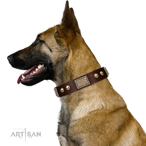 Strong traditional buckle on genuine leather dog collar for everyday use