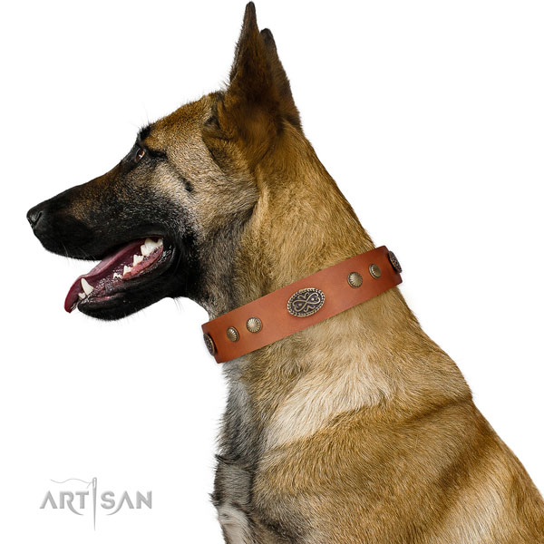 Corrosion proof D-ring on Genuine leather dog collar for fancy walking