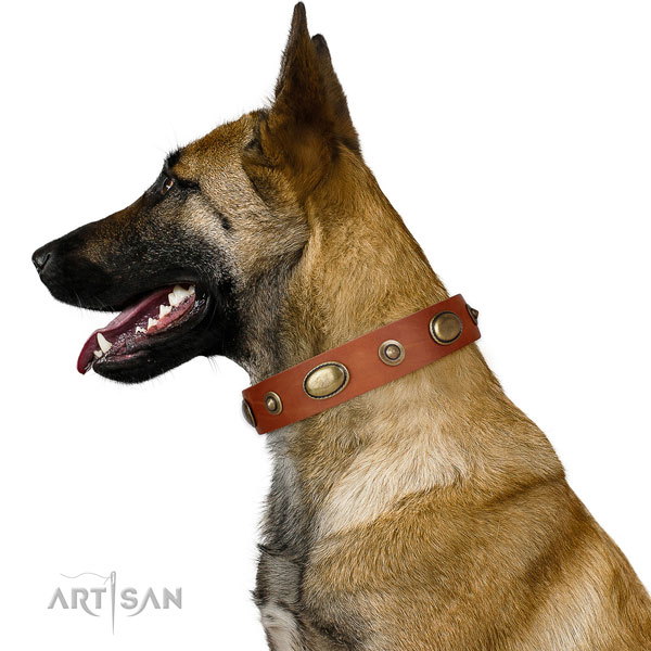 Daily use dog collar of natural leather with extraordinary adornments