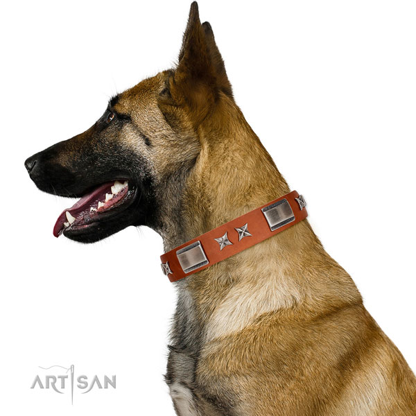 Comfy wearing best quality natural leather dog collar with adornments