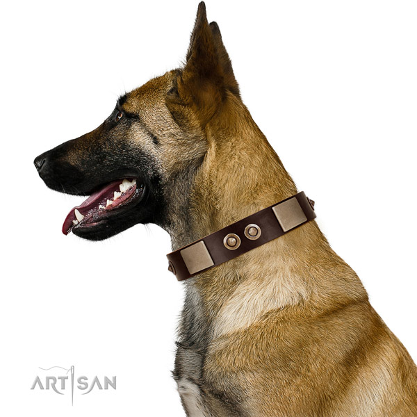 Corrosion proof fittings on full grain natural leather dog collar for easy wearing
