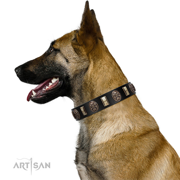 Full grain natural leather collar with embellishments for your lovely four-legged friend