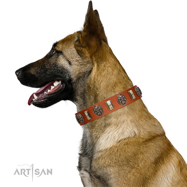 Natural leather collar with embellishments for your stylish four-legged friend
