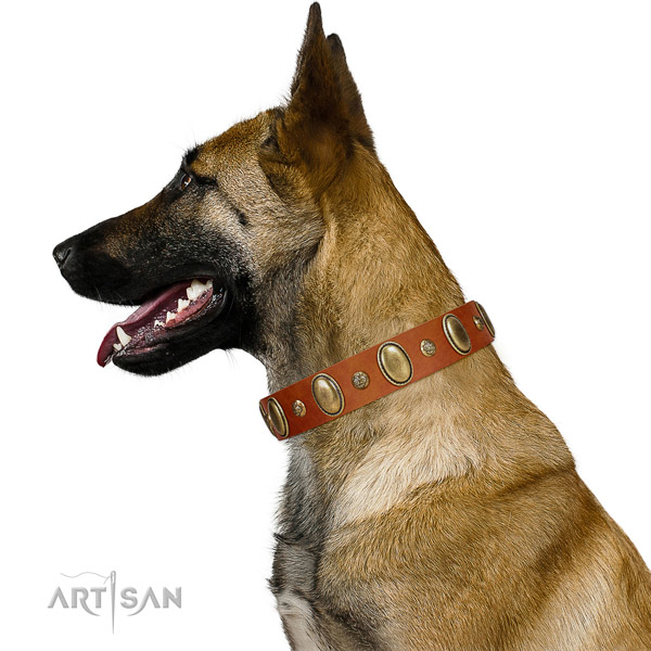 Studded leather dog collar with corrosion resistant buckle
