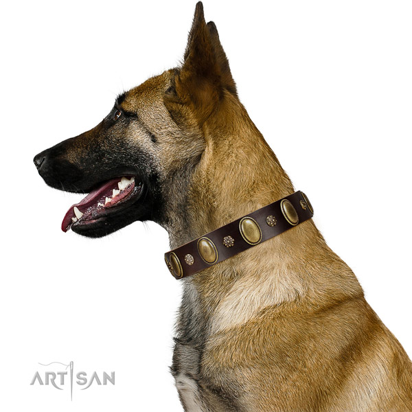 Fancy walking flexible full grain leather dog collar with embellishments
