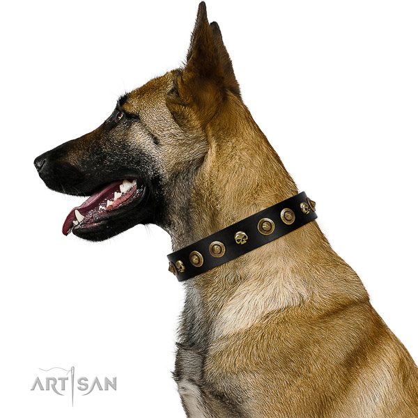 Flexible natural leather dog collar with studs for your four-legged friend