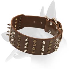 Safe Malinois Leather Dog Collar