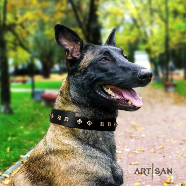 Belgian Malinois daily walking full grain leather collar for your lovely canine