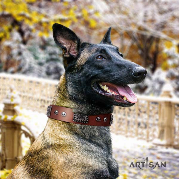 Belgian Malinois basic training full grain natural leather collar for your beautiful dog