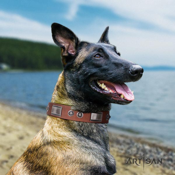 Belgian Malinois fancy walking genuine leather collar for your handsome canine