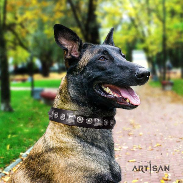 Belgian Malinois walking genuine leather collar for your attractive dog