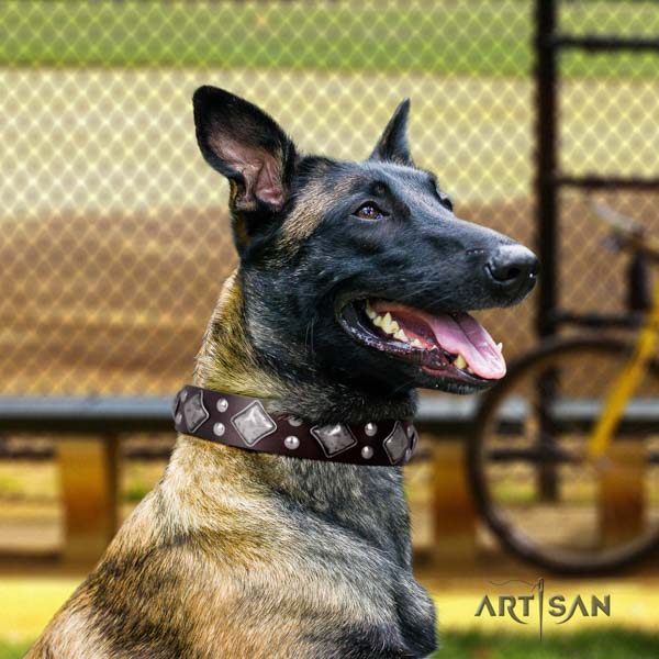 Belgian Malinois daily walking full grain genuine leather collar for your attractive four-legged friend