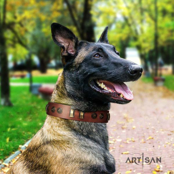 Belgian Malinois daily use natural leather collar for your handsome doggie