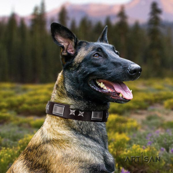 Belgian Malinois everyday use leather collar for your lovely pet