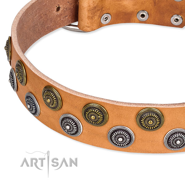 Genuine leather dog collar with top notch adornments