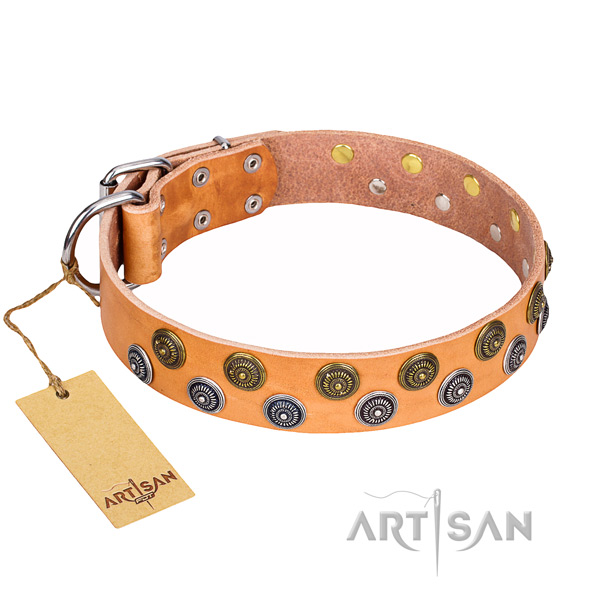 Incredible natural genuine leather dog collar for everyday use