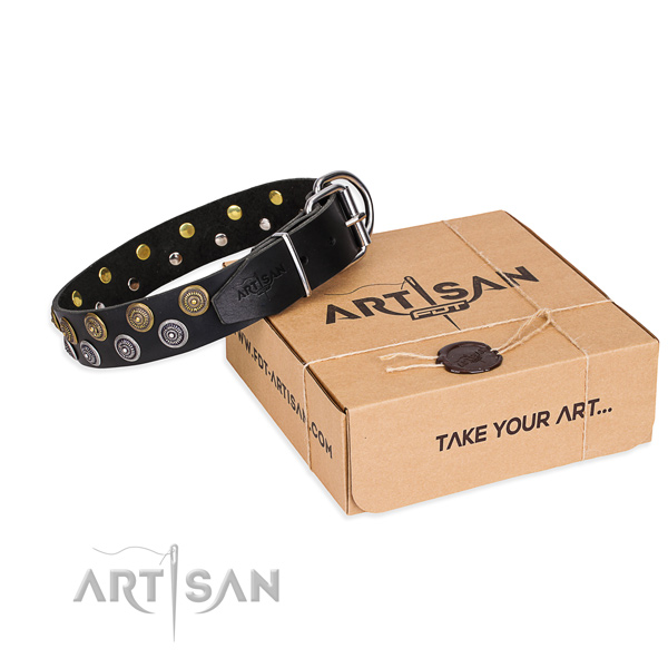 Leather dog collar with embellishments for walking