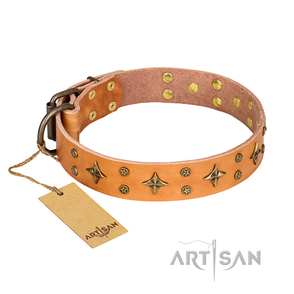 Remarkable leather dog collar for everyday walking