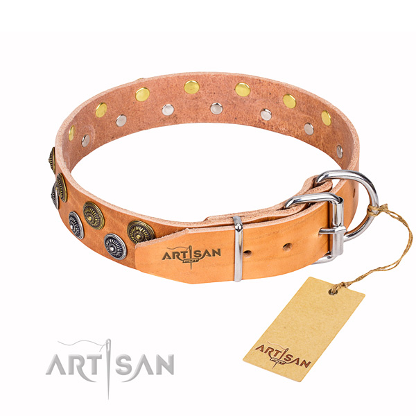 Daily walking leather collar with decorations for your four-legged friend