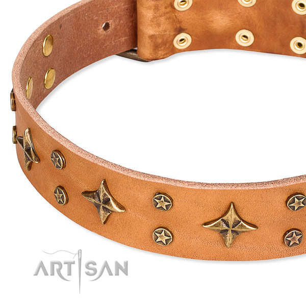 Full grain genuine leather dog collar with unique studs