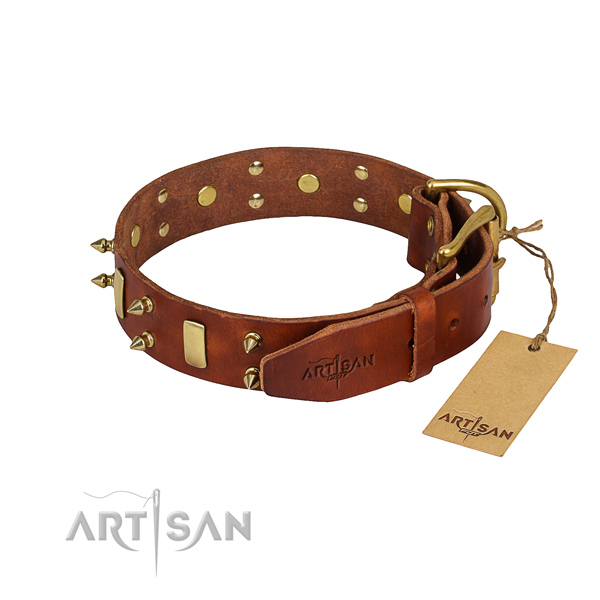 Sturdy leather dog collar with brass plated elements