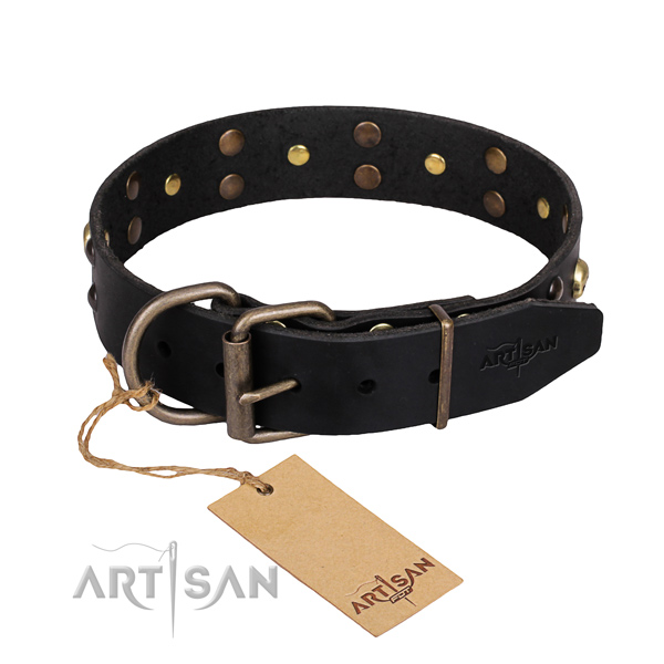 Resistant leather dog collar with brass plated elements