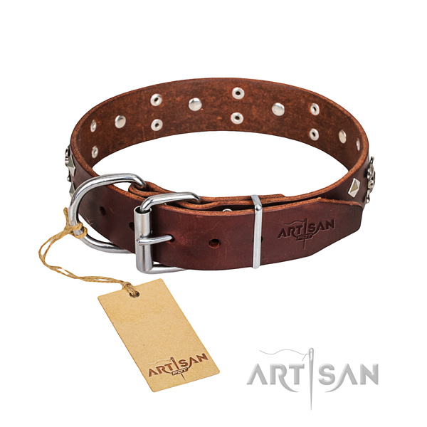 Tough leather dog collar with durable fittings