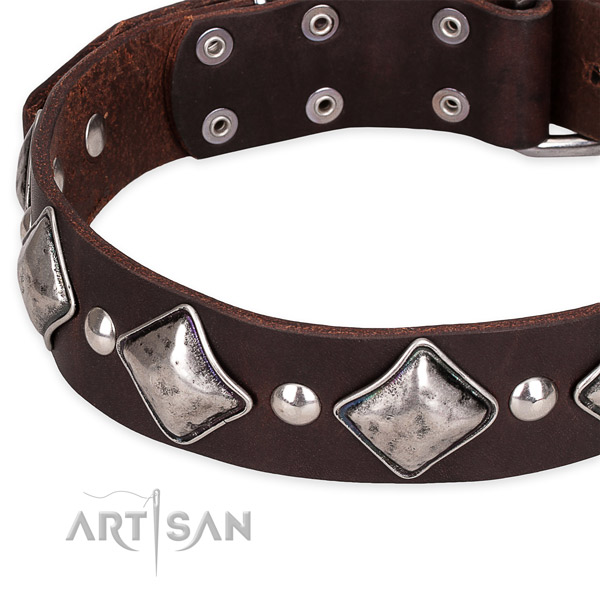 Quick to fasten leather dog collar with extra strong non-rusting hardware
