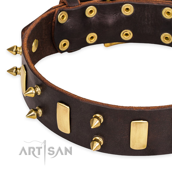Quick to fasten leather dog collar with extra strong brass plated hardware