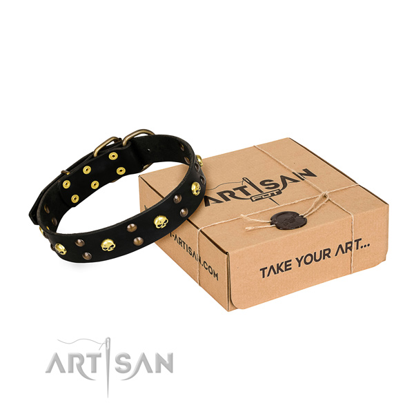 Day-to-day leather dog collar with elegant studs