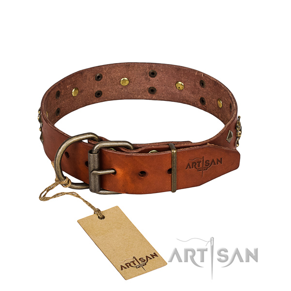 Tough leather dog collar with strong fittings