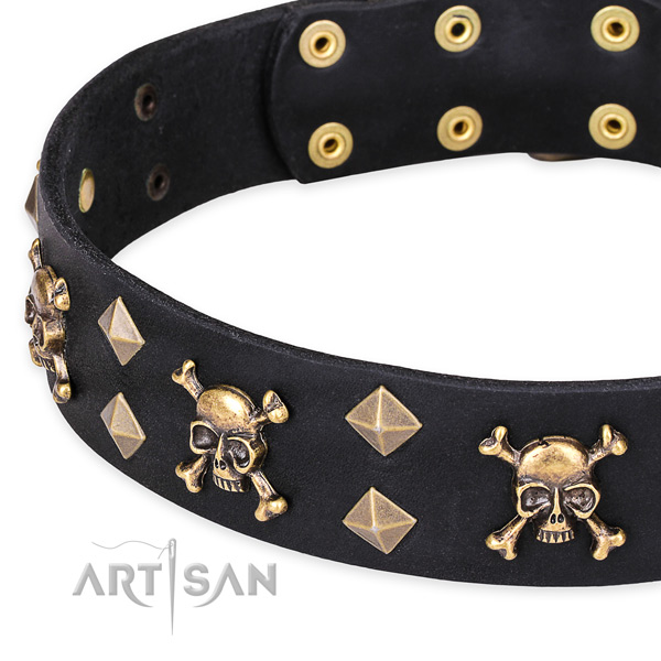 Casual leather dog collar with luxurious decorations