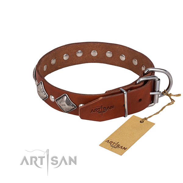 Natural leather dog collar with thoroughly polished leather strap