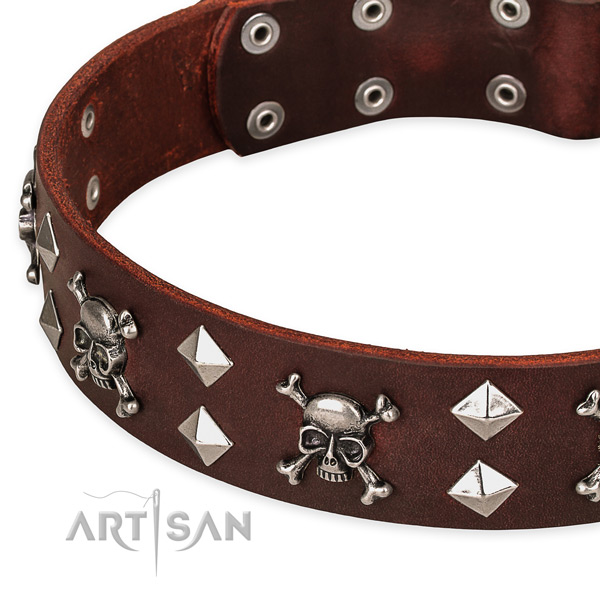 Fancy leather dog collar for walking