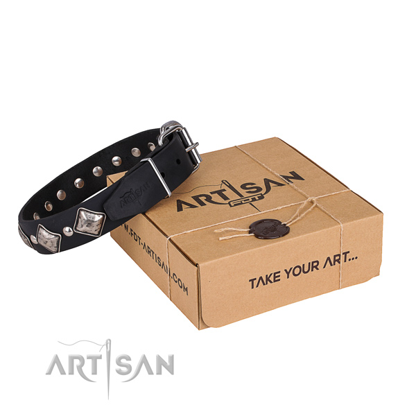 Everyday leather dog collar with exciting decorations