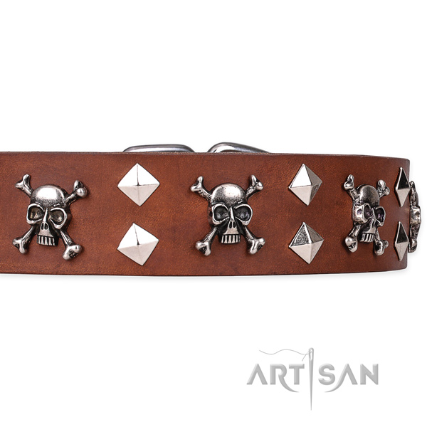 Casual leather dog collar with sensational embellishments