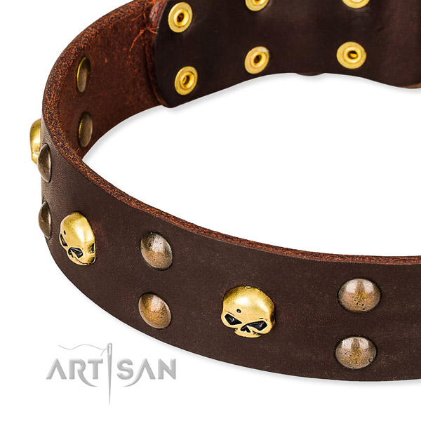 NaturalAwesome leather dog collar for training