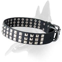 Designer Malinois Leather Collar With Solid Hardware
