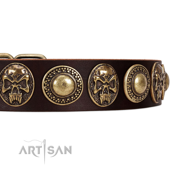 Full grain natural leather dog collar with studs for handy use