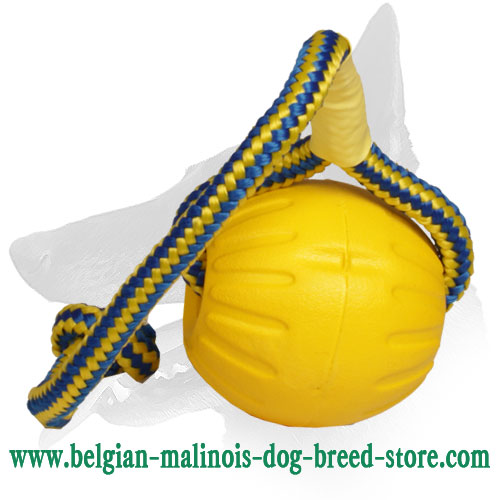 malinois toys