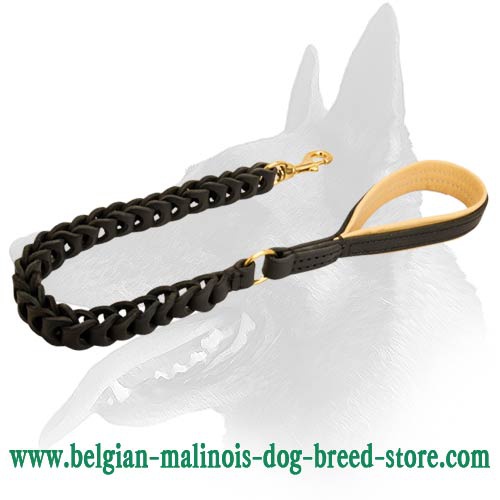 leash for belgian malinois